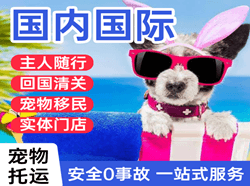 武夷山国际宠物托运 【国